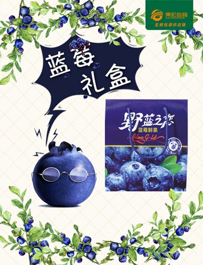 藍(lán)莓禮盒