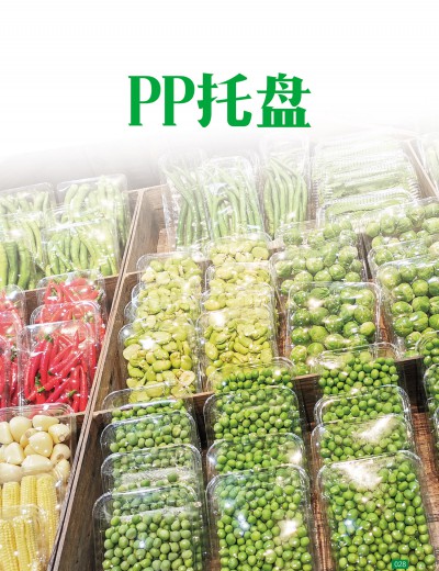 PP托盤(pán)